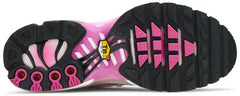 Nike Kids Air Max Plus 'Pink Fade' (Mirror)